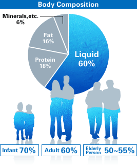 Body composition